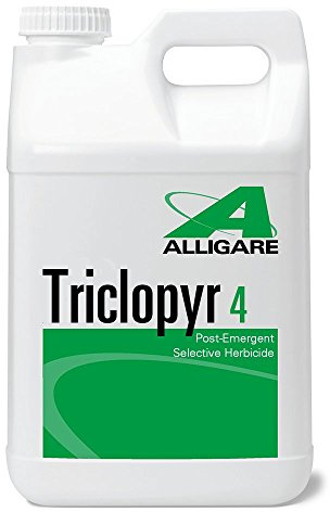 4 EC Comparar con Garlon 4 y Remedy 1 litro