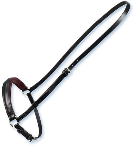 Stübben Hannoveranisches Reithalfter 3000 Limerick - Ebony/Oliv - Warmblut (WB) - Silber