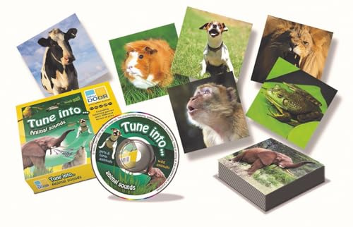 Yellow Door Tune into Animal Sounds | Set of 30 picture cards with audio CD and games | Early Educational Toy for kids age 1 2 3 4 5 | Differentiated listening games with real animal sounds