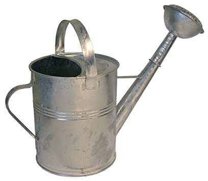 Regadera Metálica 5 litros, galvanizado