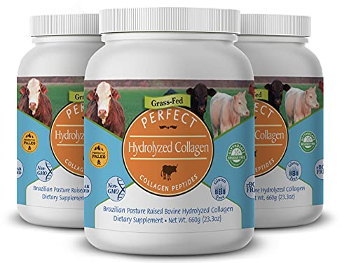 Perfect Supplements – Perfect Hydrolyzed Collagen Powder – 660g – All Natural Collagen - Promotes Healthy Skin – 3 Pack