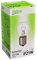 VALEO 32101 Ampoule, feu Stop Central, Vert