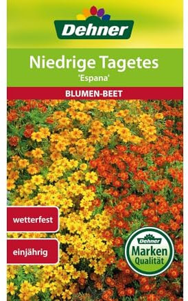 Dehner Blumen-Saatgut, Niedrige Tagetes Espana, 5er Pack
