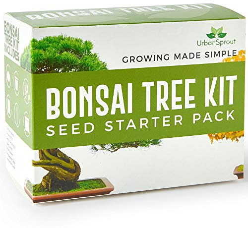 Bonsai Tree Kit - Grow Your Own Bonsai Trees from Seed - Sustainable Eco Gardening Gift Set with 5 Bonzai Seed Varieties and Bonzie Starter kit Tools