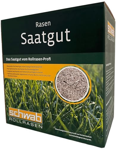Samen Regenerationsmischung zur Nachsaat 1kg