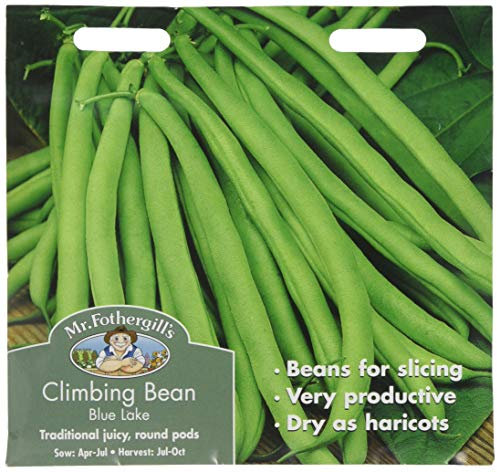 Mr Fothergill's Climbing French Bean Blue Lake