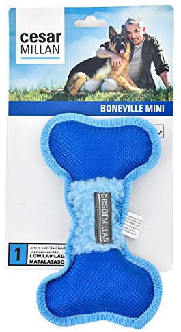 Offizielles Cesar Millan Hundespielzeug