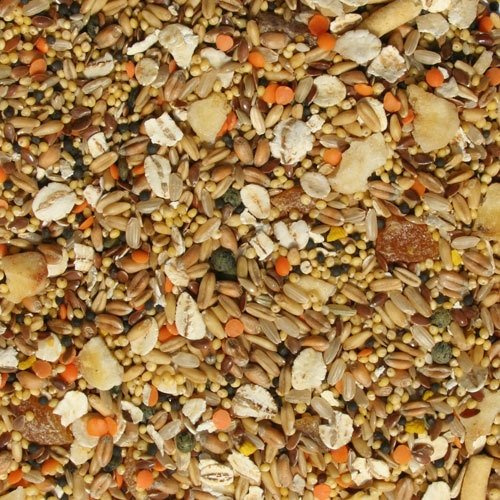 Tidymix Premium Quality Parakeet Diet Seed Blend (1.15 kg) - Budgies Food, Premium Budgies Seed Mix Blend, Parakeet Seed - For Small Birds