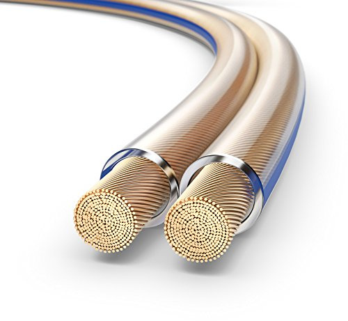 PureLink SP010-010 Cable de altavoz 2 x 2.5mm² (99.9% OFC cable de cobre sólido 0.10mm) Cable de altavoz de alta fidelidad, 10m, transparente