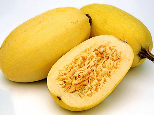 Hasta la Pasta Spaghetti Squash 8 Seeds - Sweet