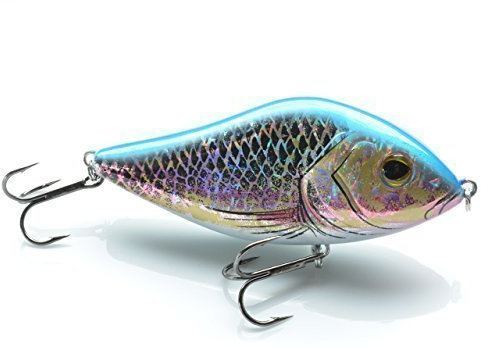 ELBFANG Jerkbait 50g Wobbler Hecht Barsch Kunstköder