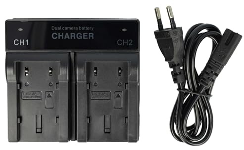 vhbw Dual Ladegerät kompatibel mit JVC BN-VF808, BN-VF808U, BN-VF815, BN-VF815U, BN-VF823 Kamera Camcorder/Akku - Ladeschale, Ladestandsanzeige