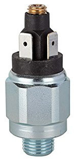 Riegler 103003 Druckschalter Standardausführung, Stahl verzinkt, 1 - 10 bar