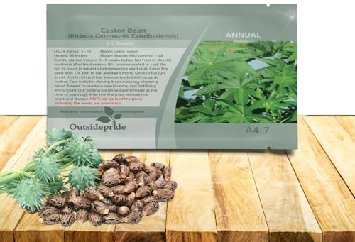Outsidepride Zanzibariensis Castor Bean Seeds - 50 Pcs Annual Quick-Growing Tropical Flower Seeds for Planting Vibrant Foliage & Colorful Blooms for Eye-Catching Borders, Gardens & Landscapes