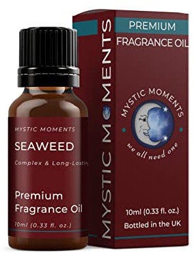 Mystic Moments | Olio di fragranze di alghe - 10 ml - perfetto per saponi, candele, bombe da bagno, bruciatori di olio, diffusori e articoli per la cura della pelle e dei capelli
