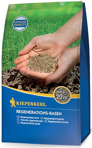 Kiepenkerl Regenerations-Rasensamen 651050, 0,5 kg - Hohe Regenerationsfähigkeit, schnelle Keimung, ideal für Rasenreparatur, robust und keimstark