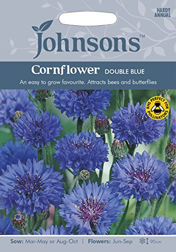 Johnsons 16729 Cornflower Double Blue