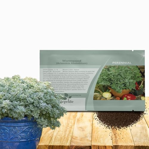 Outsidepride Wormwood Seeds - 5000 Pcs. Perennial, Easy to Grow & Drought Tolerant, Herb Seeds for Planting Aromatic, Delicate Gray-Green Foliage, Great for Landscaping & Xeriscaping Herb Gardens