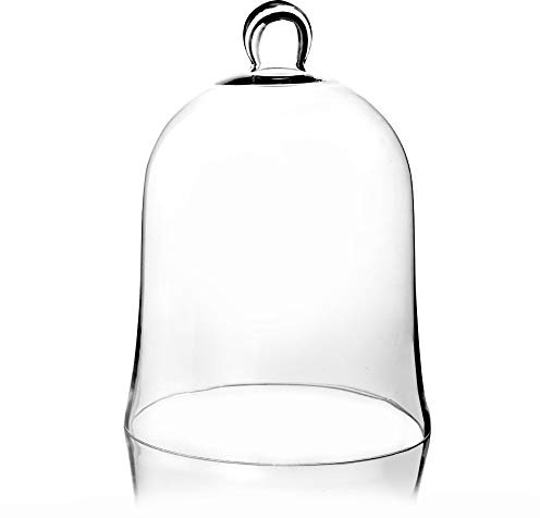 CYS EXCEL Glass Bell Dome Cloche (H:12 W:8.5) | Multiple Size Choices Enchanted Rose Glass Cover | Cake Dessert Display | Terrarium Jar Plant Cover