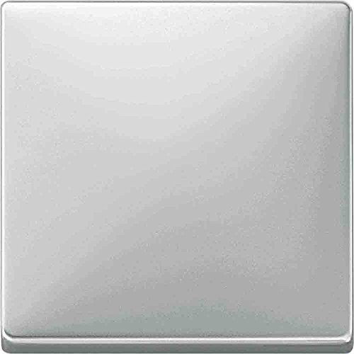 Merten 412146 Edelstahl Lichtschalter - Lichtschalter (Tasten, Edelstahl, 1 Stück)