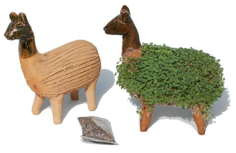 Lassen Sie Ihr eigenes KresseLlama gedeihen (Inklusive Kressesamen). Fair gehandelt. Handarbeit aus Mexiko. Llama.