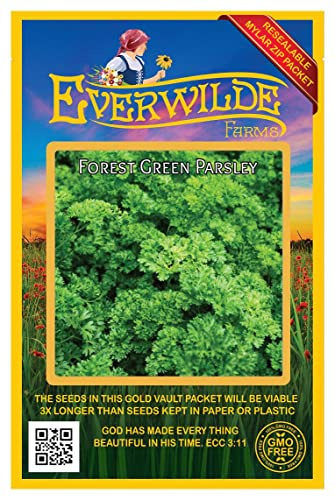 Everwilde Farms - 1000 Forest Green Parsley Seeds - Gold Vault Jumbo Seed Packet