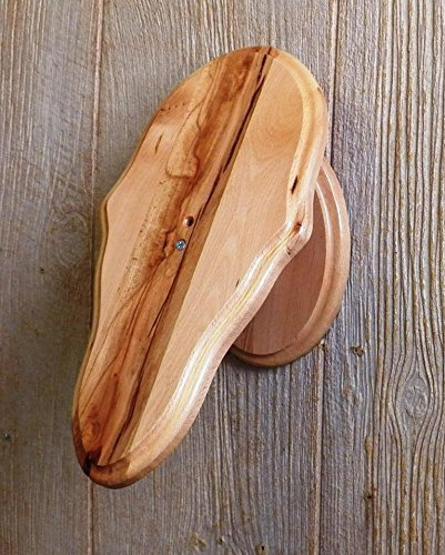 The Taxidermists Woodshop Solid Rustic Beech European Skull Mount Pedestal Plaque