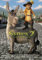 Close Up Shrek 2 Poster (68,5cm x 98cm)