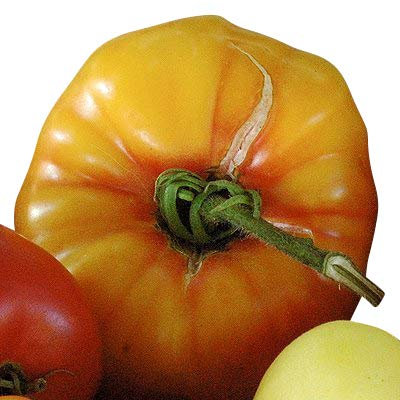 Tomate - Vieil allemand - 10 graines '' Old variété '' ** Tomates pesant jusqu'à 1 kg **