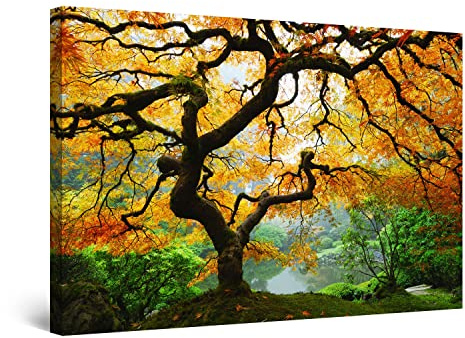 Startonight Impression sur Toile Arbre d'érable, Tableau Nature - Decoration Murale Salon Moderne - Image sur Toile - 60 x 90 cm Idée Cadeau Élégante et Originale Effet Lumineux Nocturne