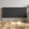 iBathUK Strata Horizontal Radiator, Double Oval Panel Radiators, 600x1440mm Slim Radiator for Bathroom,Kitchen,Living Room - Anthracite