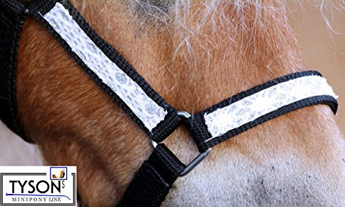 Halfter Fancy Weiß Glitzer Glitzerhalfter Nylon Minishetty Shetty Pony VB WB Tysons ! (Shetty)