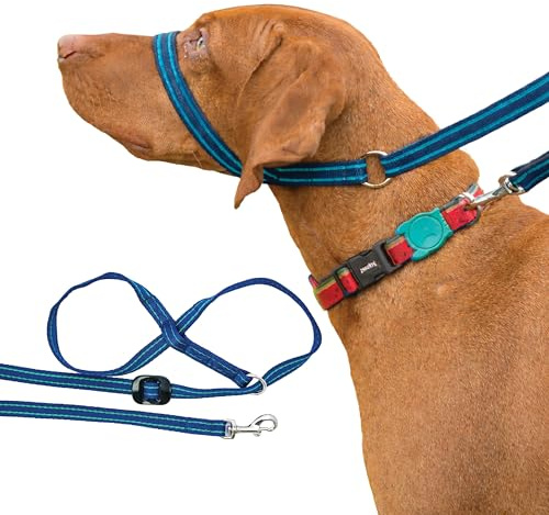 Gencon - Clip-to-Collar Dog Headcollar and Lead - Trainer Approved - One Size Dog Training & Behaviour Aid - Soft & Gentle Design with Trigger Clip - Right - Made in Britain - Navy/Jade