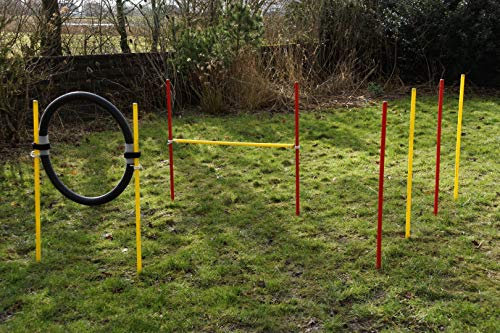 Wuzzmann Trading Agility-Beginner-Set ROT/GELB