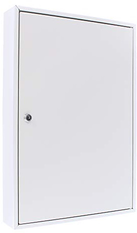 Rottner Armoire à clés Simple S 50 avec Serrure à Cylindre, Gris Clair, 50 étiquettes gratuites, matériel de Montage Inclus.