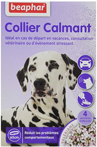 Beaphar – NO Stress – Collier calmant à la Valériane pour Chien – Réduit Le Stress et Les problèmes comportementaux sans dépendance ni Somnolence – 1 Collier 65 cm – 4 semaines d'action