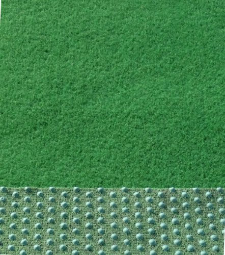 Eulberg Kunstrasen Rasenteppich mit Noppen angenehm weich Farbe grün in verschiedenen Größen (300 x 150 cm)