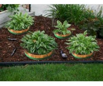 RPS Global 4m Slug and Snail Circles