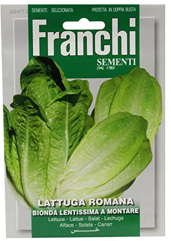 Franchi Romaine Lettuce Lentissima