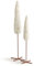 Willow Tree Demdaco Nativity Cypress Tree Figurines Set of 2 Susan Lordi 27598 New