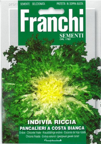 Franchi Endive - Individia riccia Pancalieri a Costa Bianca