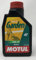 MOTUL 102787 Garden 4T SAE 30 Olio Motore 1 L
