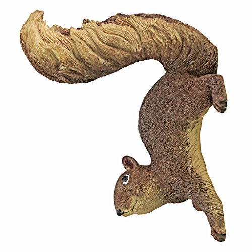 Design Toscano Simone The Squirrel Woodland Decor Hanging Garden Statue, 20 cm, Polyresin, Brown, 8 inch