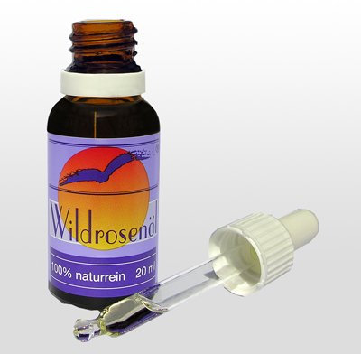 Badestrand Wildrosen Hautöl 20 ml