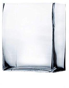 WGVI WGV Clear Rectangle Block Glass Vase, 2 by 5 by 6-Inch
