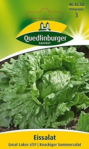 Quedlinburger 464250 Eissalat Great Lakes 659 (Salatsamen)