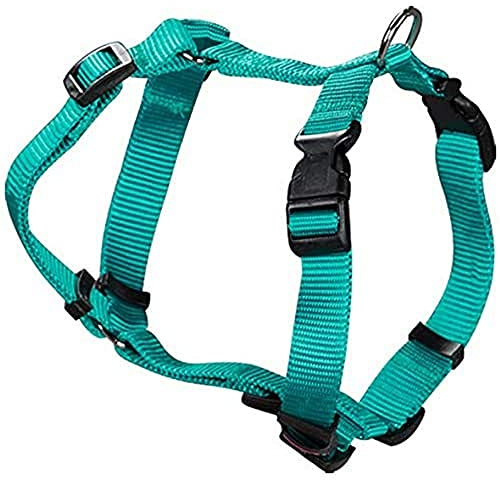 Arppe 2241011026 Arnés Nylon Basic, Turquesa