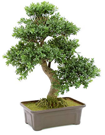 EUROPALMS Buchsbonsai, Kunstpflanze, 61 cm | Bonsai-Buchsbäumchen als Tischdeko