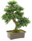 EUROPALMS Buchsbonsai, Kunstpflanze, 61 cm | Bonsai-Buchsbäumchen als Tischdeko