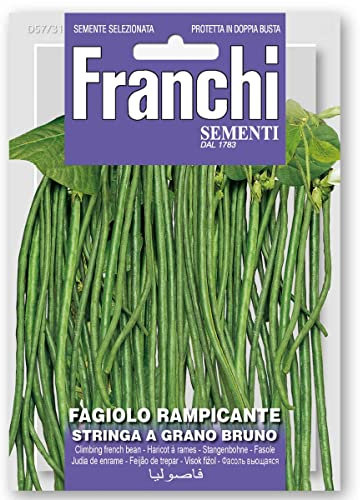 FAGIOLO RAMPICANTE STRINGA A GRANO BRUNO 100 GR